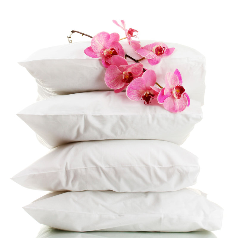 Ludgershall Polyester Medium Pillow, Standard