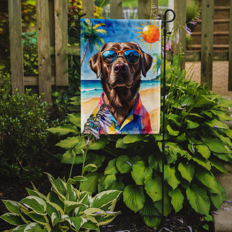 Bouvier bernois avec drapeau de jardin, Labrador Retriever chocolat