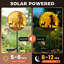 Stainless Steel Solar Powered Pathway Light Pack