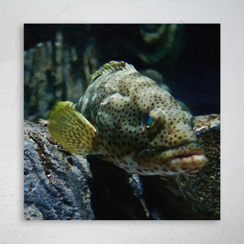 An affreuse roche poisson - 1 pièce, impression carrée sur toile tendue, L 32 po x H 32 po