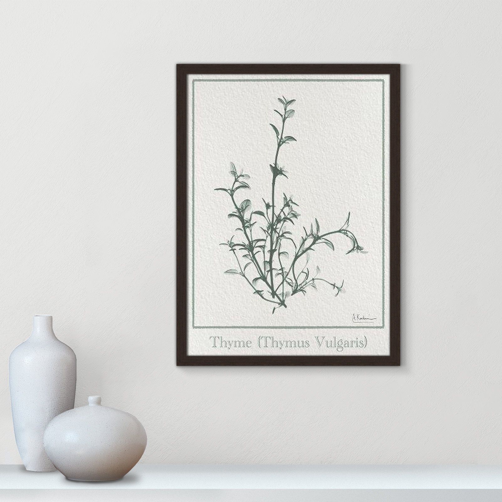 Jeanette "Thymus Vulgaris" Print, 23" H x 17" W x 1.25" D, Open Grain Walnut Framed Paper
