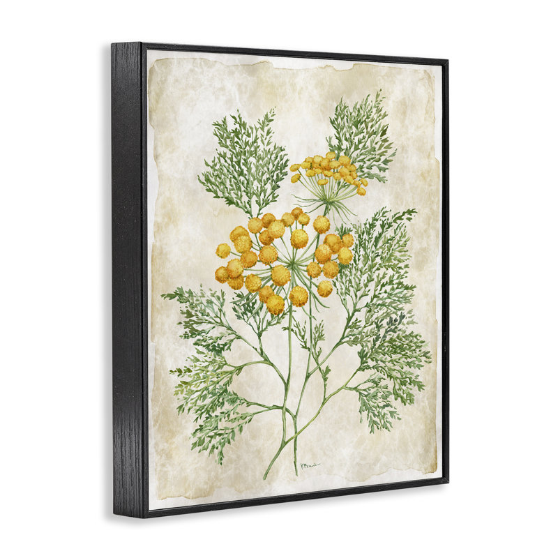 «Botanical Journal», estampe numérique, conception de Paul Brent, H 14 po x l 11 po, Giclée encadrée noir minuit