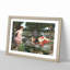 Echo and Narcissus by John William Waterhouse - Framed Print-62751789-62751792