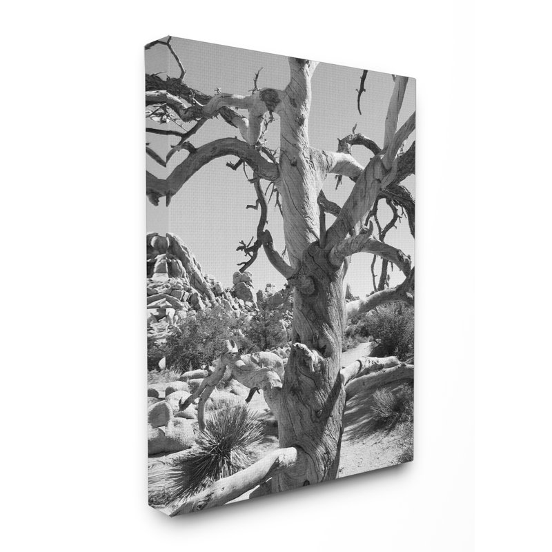«Desert Tree», reproduction de photo, H 30 po x l 24 po, Toile tendue