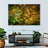 Harnek Ancient Japanese Maple-107844451