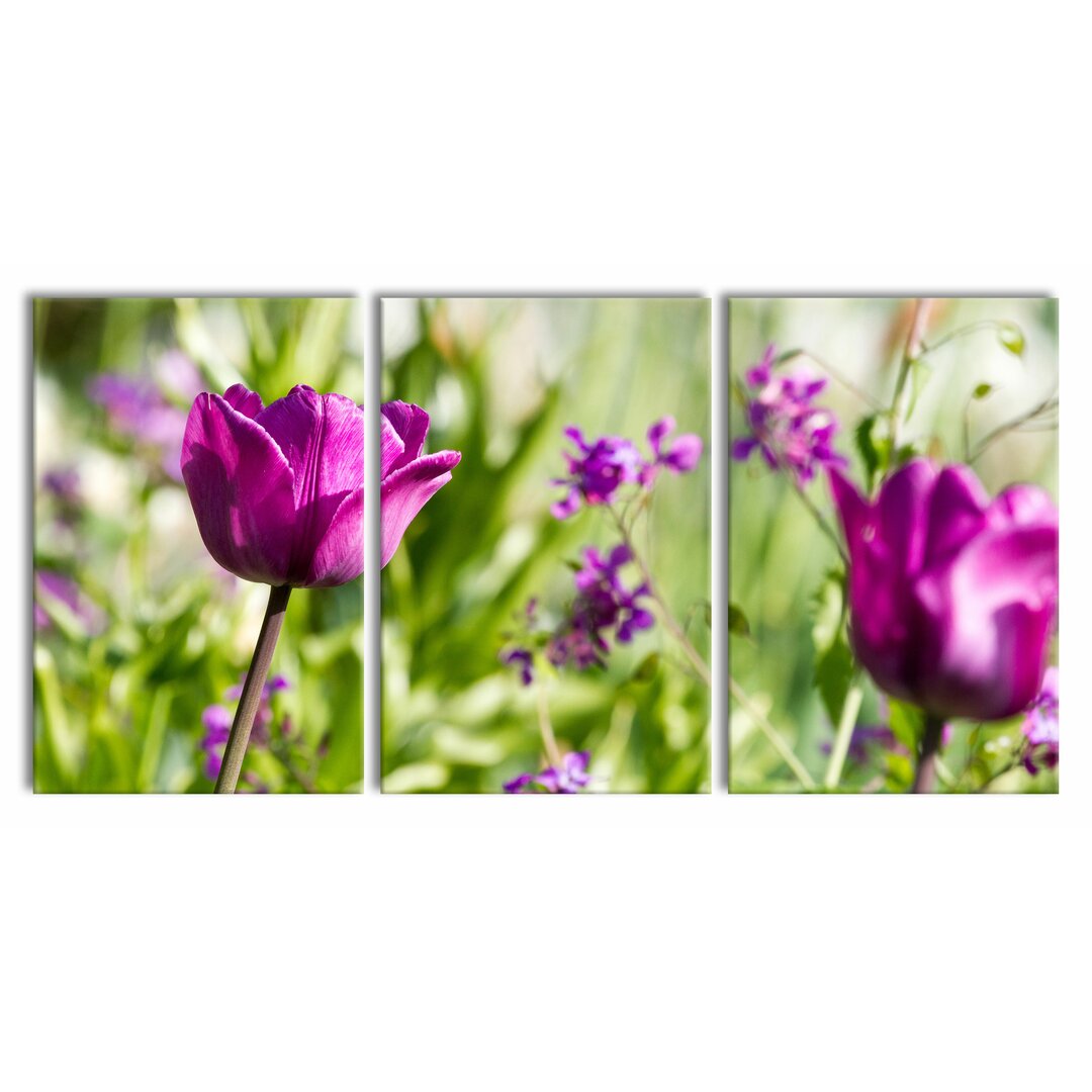 3-tlg. Leinwandbilder-Set Blumen im Sonnenschein