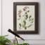 Antique Botanical Collection I, toile encadrée de qualité supérieure - prête à être accrochée-73982980
