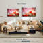 Hardie, tulipes et papillons-107722028