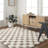 Haefner Checkered Indoor Rug