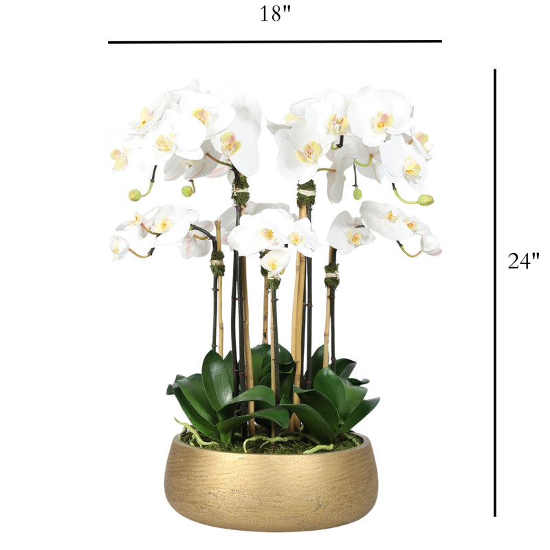 Silk Orchid Centerpiece Arrangement, 24 x 18, Gold