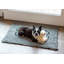 Tapis pour chien sale