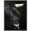 «Minimalist Black Highland Cow Close» par Michael Schauer, reproduction d'art encadrée