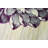 Ahn Floral Indoor Rug-145988127