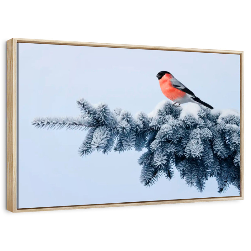 Bouvreuil sur une épinette festive, Cadre flottant en bois naturel, 37 po x 25 po