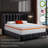 Alwyn Home 14" Medium Memory Foam Mattress In a Box-1687896049