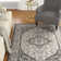 Donivin Performance Oriental Indoor/Outdoor Area Rug