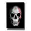 «Mexico Skull» par Nicklas Gustafsson, art mural sur toile-1431808089-1431798842