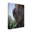 «Red Cockaded Woodpecker» par Etelca, impression sur toile tendue-27650302