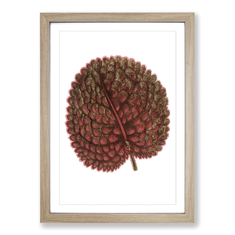 Plant Leaf by Benjamin Fawcett - Picture Frame Painting Print, 50cm H x 35cm W x 2cm D, Oak