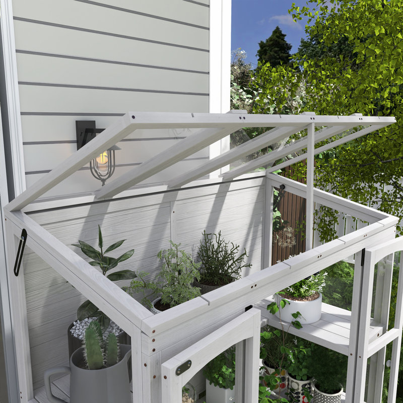 Serre en bois 57,9 "x P 29,1" avec 4 lanterneaux indépendants, Blanc