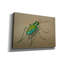  «Green Beetle Walk» par Bebe Keith, art mural sur toile, 26 po x 18 po-1111669632