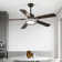 Ehrin 51.96'' Ceiling Fan with LED Lights