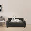 Canapé-lit orthopédique pour chien -66284372-66284375
