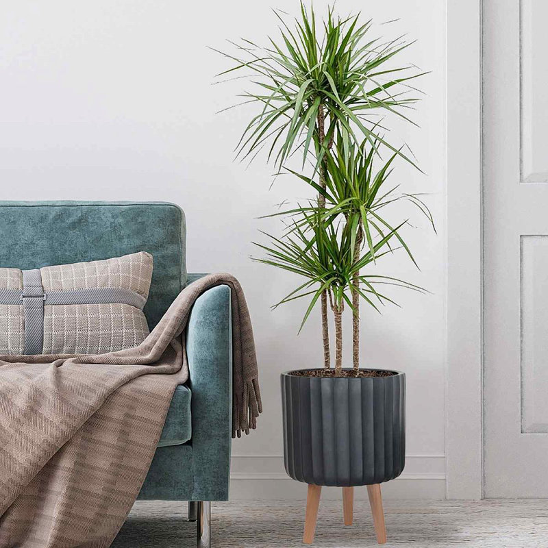 Modern Ribbed Cylinder Round Planter with Feet, Black, 41cm H x 30cm W x 30cm D