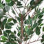 Ficus artificiel avec pot