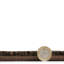 Avawatz area rug Machine Woven Brown-56363880
