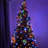 100-1000 LED Low Voltage Fairy String Lights with 8 Modes,Multicolor,300 LEDs