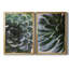 Irene Weisz - ensemble de 2 reproductions de photos-901160232-901160234-901160233