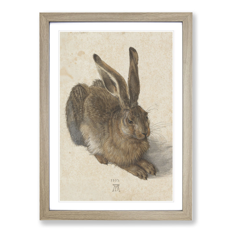 Hare by Albrecht Dürer - Framed Print, Oak Framed, 36cm H x 27cm W x 2cm D