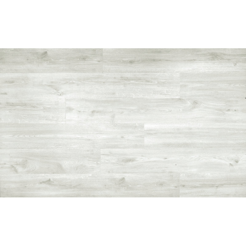 Parquet stratifié en chêne 10 po x 55 po x 8 mm Mercury, Blanc Nova