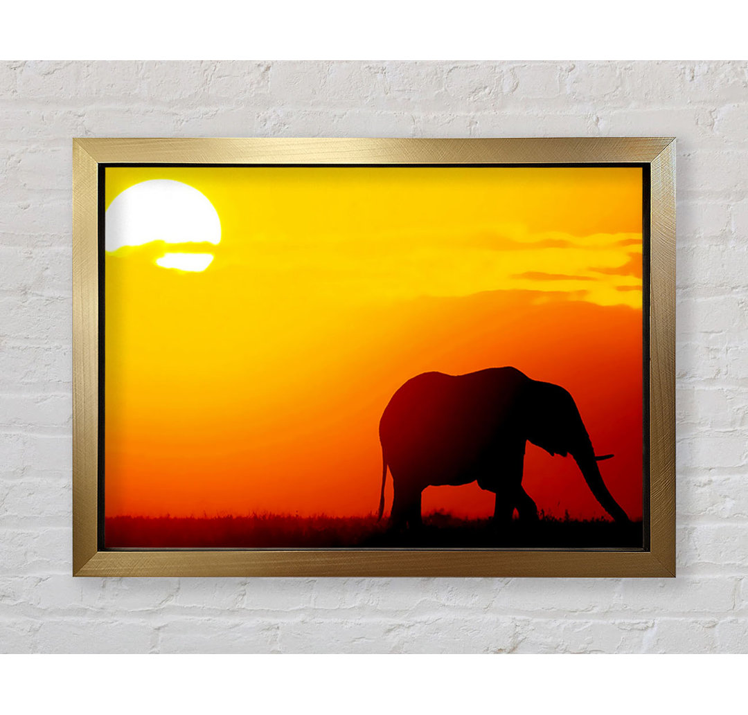 Goldener Elefant - Druck