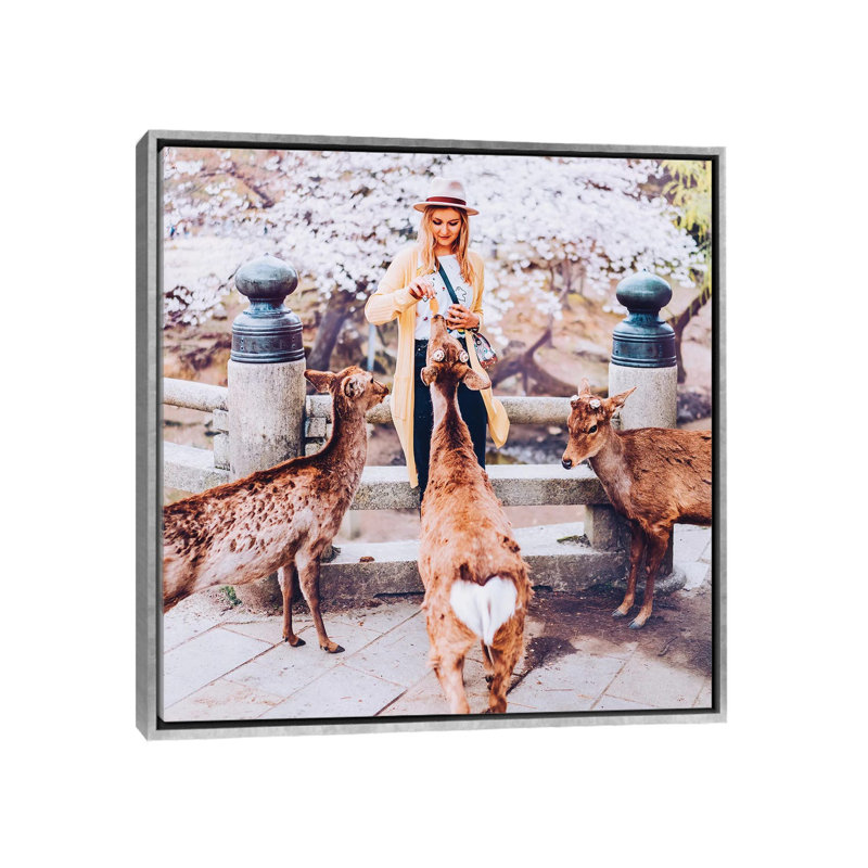 «Hearts in Nara» par Hobopeeba - reproduction de photo, Pas de tapis, H 37 po x l 37 po x P 1,5 po, Toile avec cadre argenté