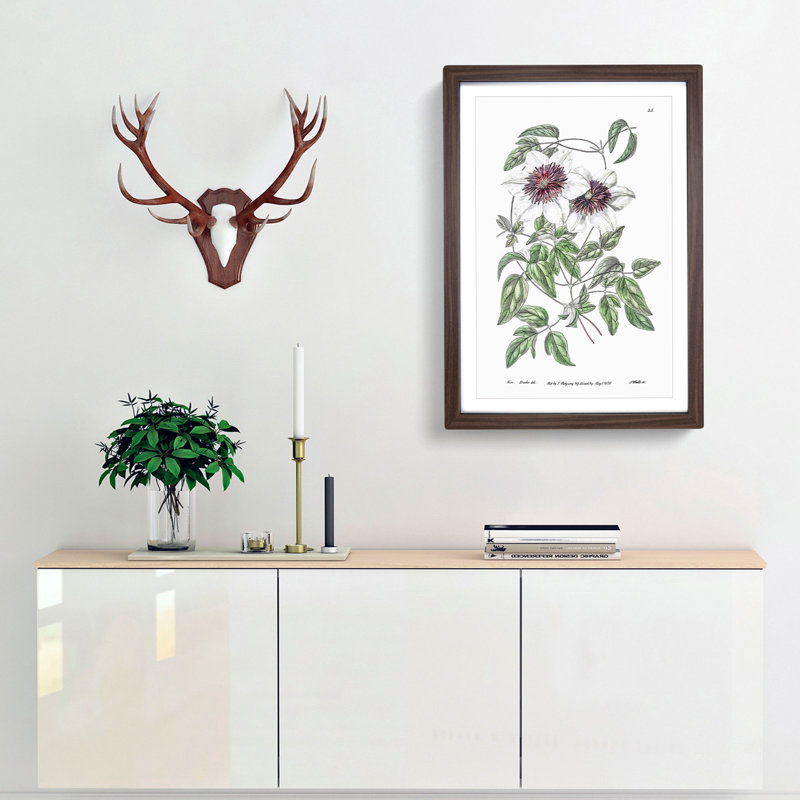 White Leather Clematis Flower - Framed Print, 36cm H x 27cm W x 2cm D, Walnut Framed