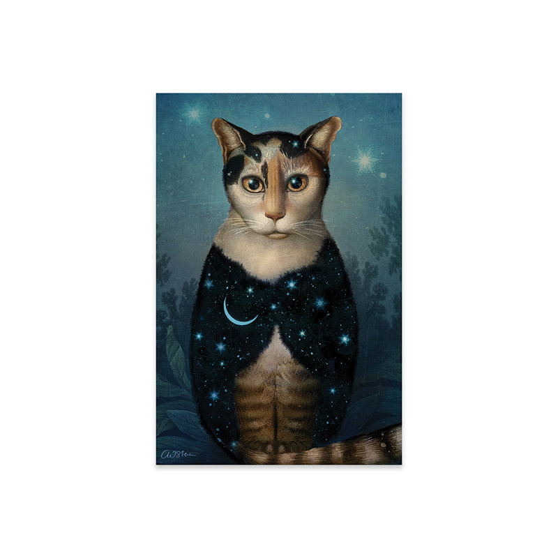 «Midnight Cat On Plastique / Acrylique» par Catrin Welz-Stein