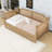 Daybed with Sturdy Wood Construction and Under Bed Trundle-496670456-496670461