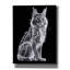  «Xray Maine Coon» par Dean Russo, art mural sur toile, 12 po x 16 po-259042799