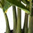 33"  Faux Money Tree in Pot Faux Tree