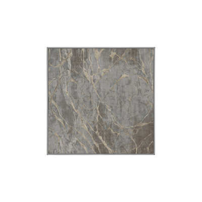 Machine Washable Gray Area Rug