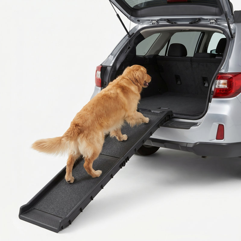 Rampe pour chien de 61 po pour voitures, camions, VUS - Rampe pour animaux de compagnie portative pliable antidérapante avec rails latéraux surélevés, plastique polypropylène durable, facile à ranger et à transporter, supporte jusqu'à 150 lb, noir
