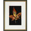 Colors Of Autumn I Print