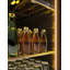 Zephyr Presrv Pro 24 in. 7-Bottle and 105-Can Single Zone Beverage Cooler