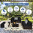 Planada 5 - Person Patio Conversation Set with Cushions-1234299395