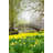 Spring In England by Iridescent - Wrapped Canvas Print-904684197