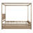 Canopy Bed With Trundle-72895106