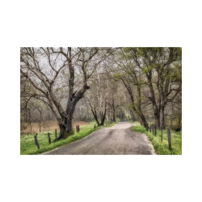 Late Afternoon Walk 1 Piece Wall Art on Canvas, 45.72cm H x 66.04cm W x 3.81cm D, Wrapped Canvas