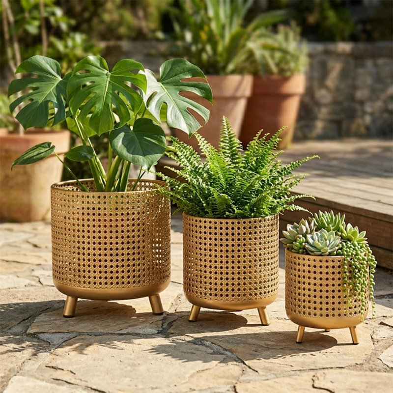 Decorative Planters Set of 3, Gold Metal Plant Pots with Legs
